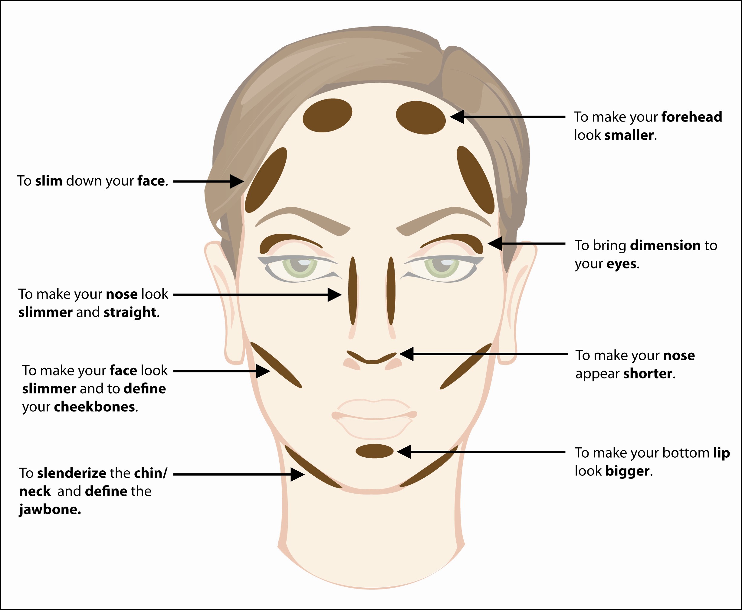 easy contour face map